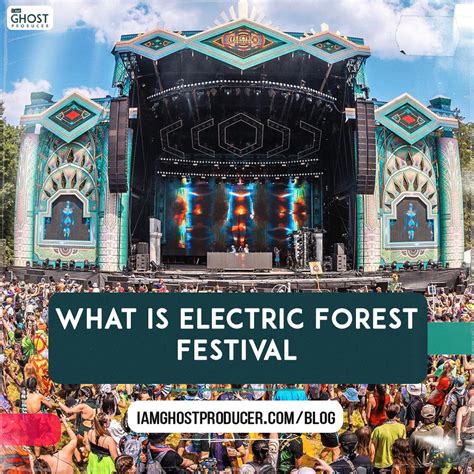 electric forest cardboard box|Electric Forest .